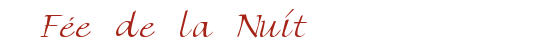 F�e de la Nuit