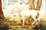 Petite carte F�erique 