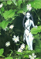 La F&eacute;e aux Stellaires