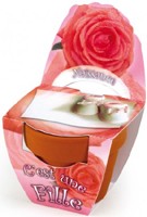 Naissance Fille Rosier Promotions