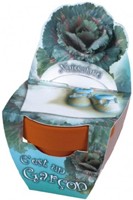 Naissance Gar�on Choux Promotions