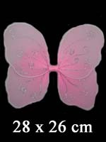 Petites ailes