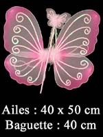 Ailes Roses + Baguette