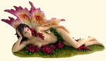 Passion Fairy