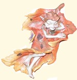 Pixie dormant dans feuille