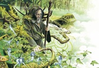 Carte Brucero - Merlin, la for�t est avec toi Bruc�ro