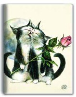 Cahier Chavalentin Cahiers F�eriques