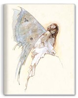Cahier F�e Bleue Cahiers F�eriques