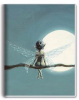 Cahier F�e au Clair de Lune Cahiers F�eriques