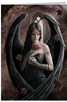Carte Anne Stokes - Angel Rose Cartes avec Enveloppes