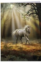 Carte Anne Stokes - Glimpse of a Unicorn Cartes avec Enveloppes