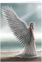 Carte Anne Stokes 