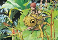 Carte Brucero - L'heure de la chasse Bruc�ro