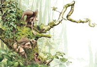 Carte Brucero - L'arbre aux Korrigans Bruc�ro