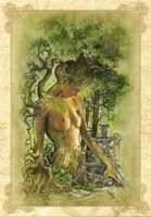 Carte S�verine Pineaux 