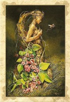 Carte S�verine Pineaux 