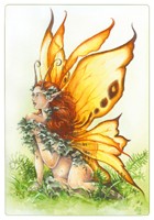 Carte Delphine Gache 