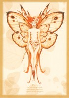 Carte Olivier Ledroit 