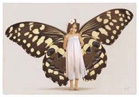 Carte Erl� Ferronni�re 