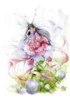 Carte Delphine Gache  
