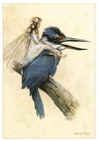 Carte Jean-Baptiste Monge 