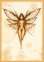 Carte Olivier Ledroit 