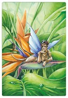 Carte Delphine Gache 