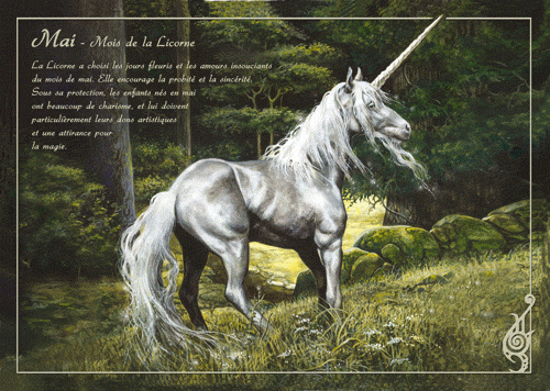 Image du jour / et belles images . Carte_licorne_severine_pineaux_-_cpk011