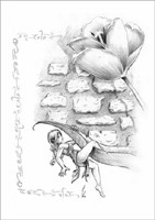 Grande Carte Matthias Walter - Excursion V�g�tale 1 Matthias Walter
