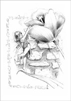 Grande Carte Matthias Walter - Excursion V�g�tale 2 Matthias Walter