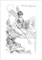 Grande Carte Matthias Walter - Baignade Exotique 1 Matthias Walter
