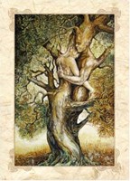 Carte S�verine Pineaux 