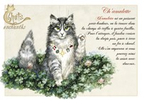 Carte S�verine Pineaux 