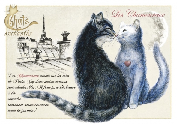 Image du jour / et belles images . Carte_severine_pineaux_chats_enchantes_cpk034_prd