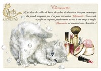 Carte S�verine Pineaux 
