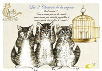 Carte S�verine Pineaux 