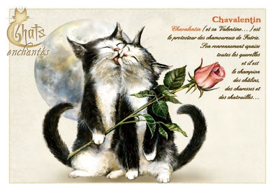 Image du jour / et belles images . Carte_severine_pineaux_fevrier_-_chat_chavalentin_-_cpk020_prd