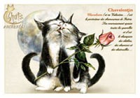 Carte S�verine Pineaux - Chavalentin S�verine Pineaux