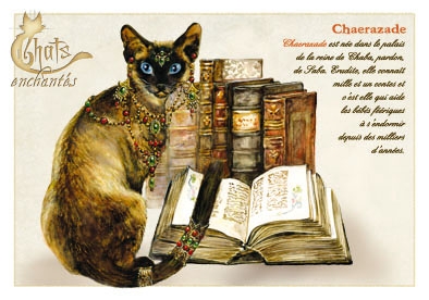 Image du jour / et belles images . Carte_severine_pineaux_janvier_-_chat_chaerazade_-_cpk019_prd