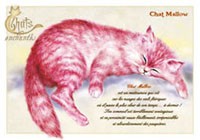 Carte S�verine Pineaux - Chat Mallow S�verine Pineaux