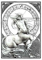Carte Delphine Gache 