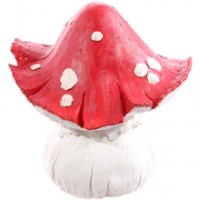 Champignon Pixies Divers