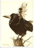 F&eacute;e sur Corbeau
