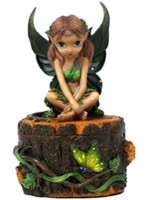 Coffret F�e 