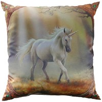 Coussin F�erique 