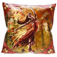 Coussin F�erique 
