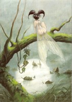 Dans le reflet de lune