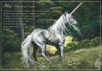 Mai - Mois de la Licorne