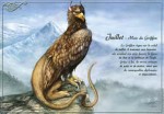 Juillet - Mois du Griffon