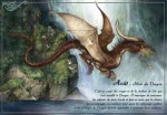 Ao&ucirc;t - Mois du Dragon